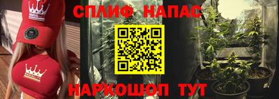 PSILOCYBIN Шелехов