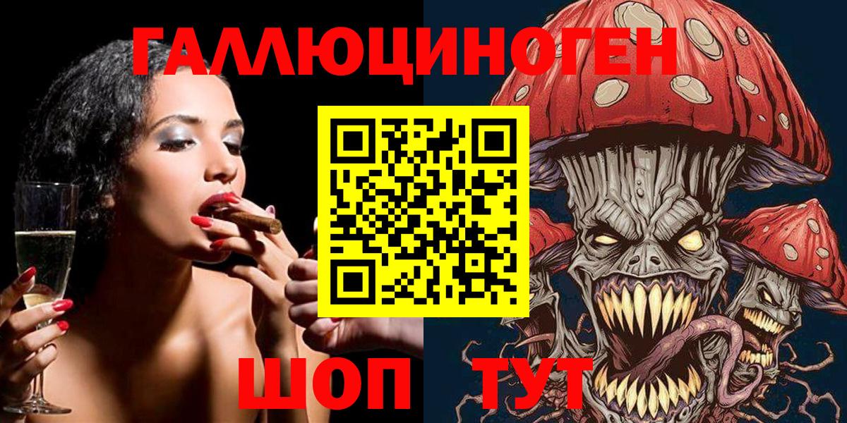 Реж  дарнет шоп  Вход с VPN  Псилоцибиновые грибы GOLDEN TEACHER 